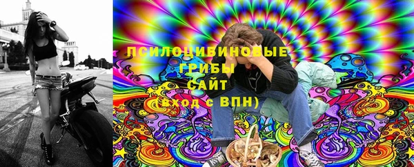 гидропоника Богданович