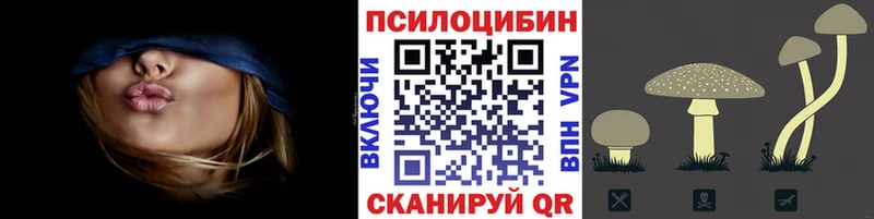 Галлюциногенные грибы Psilocybine cubensis  Балахна 